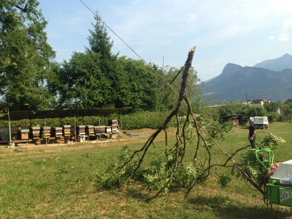 Rétention de branches avec une tyrolienne 