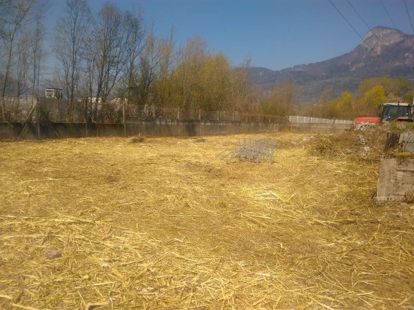 Broyage forestier Montmorot